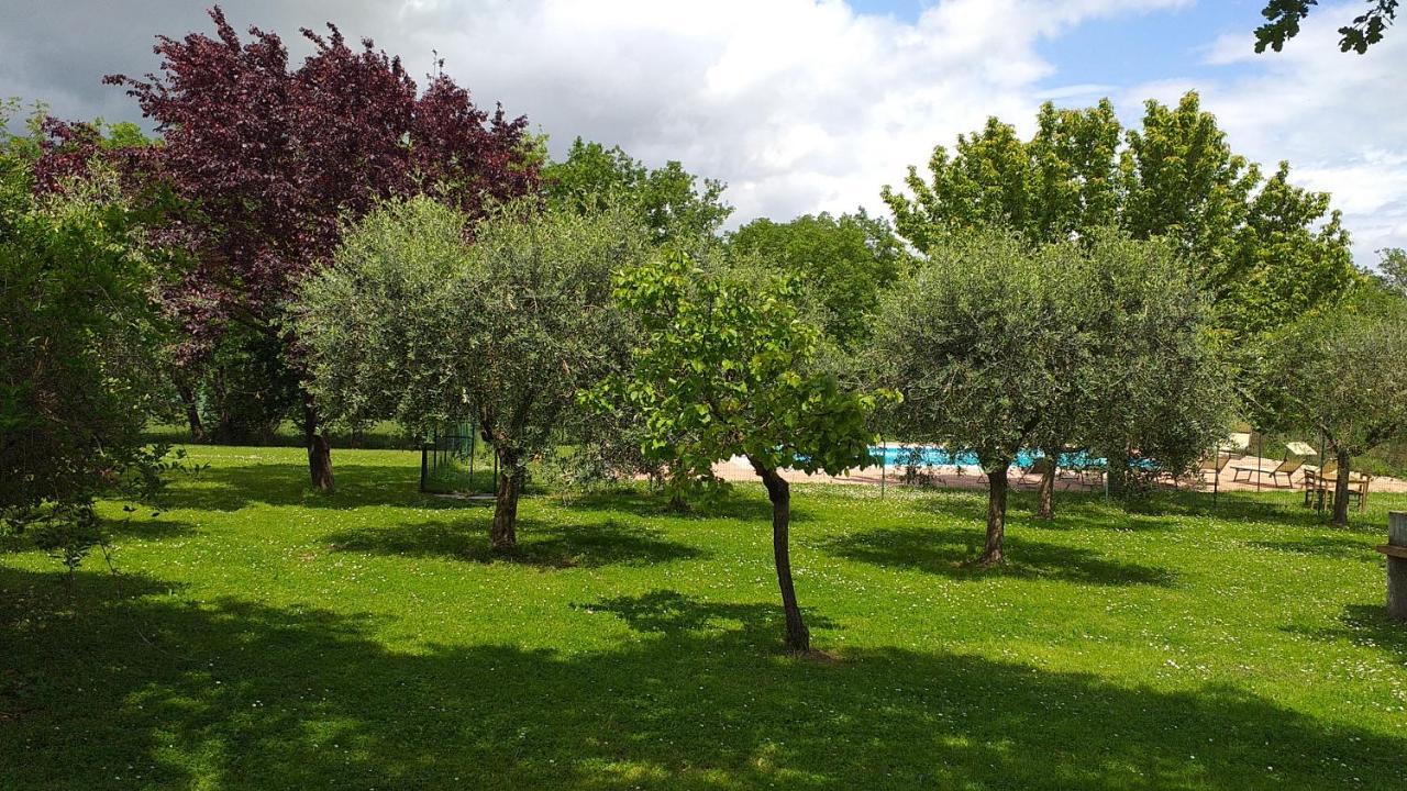 La Vecchia Fornace Guest House Кортона Екстериор снимка
